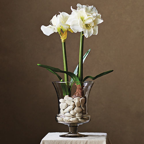 Napa Home & Garden.jpg